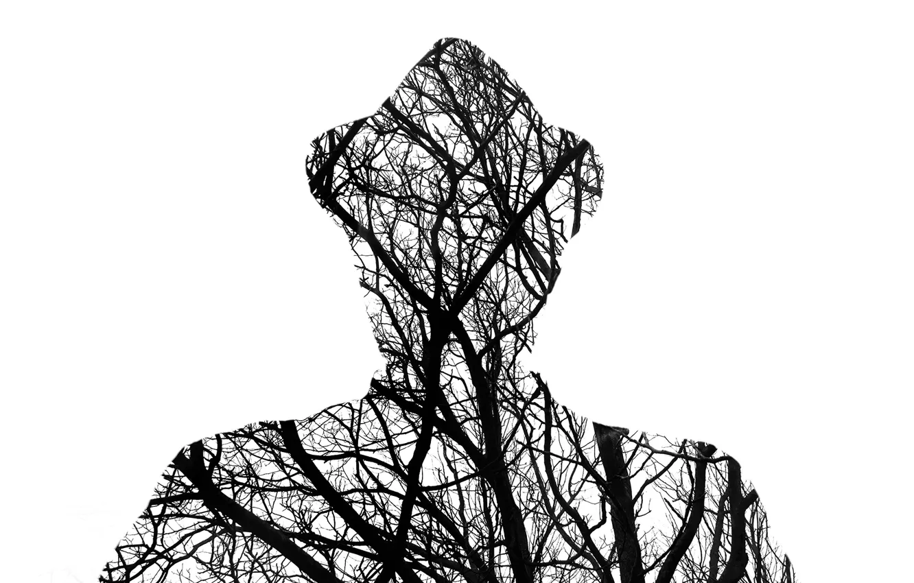 Фото обои man, branches, silhouette