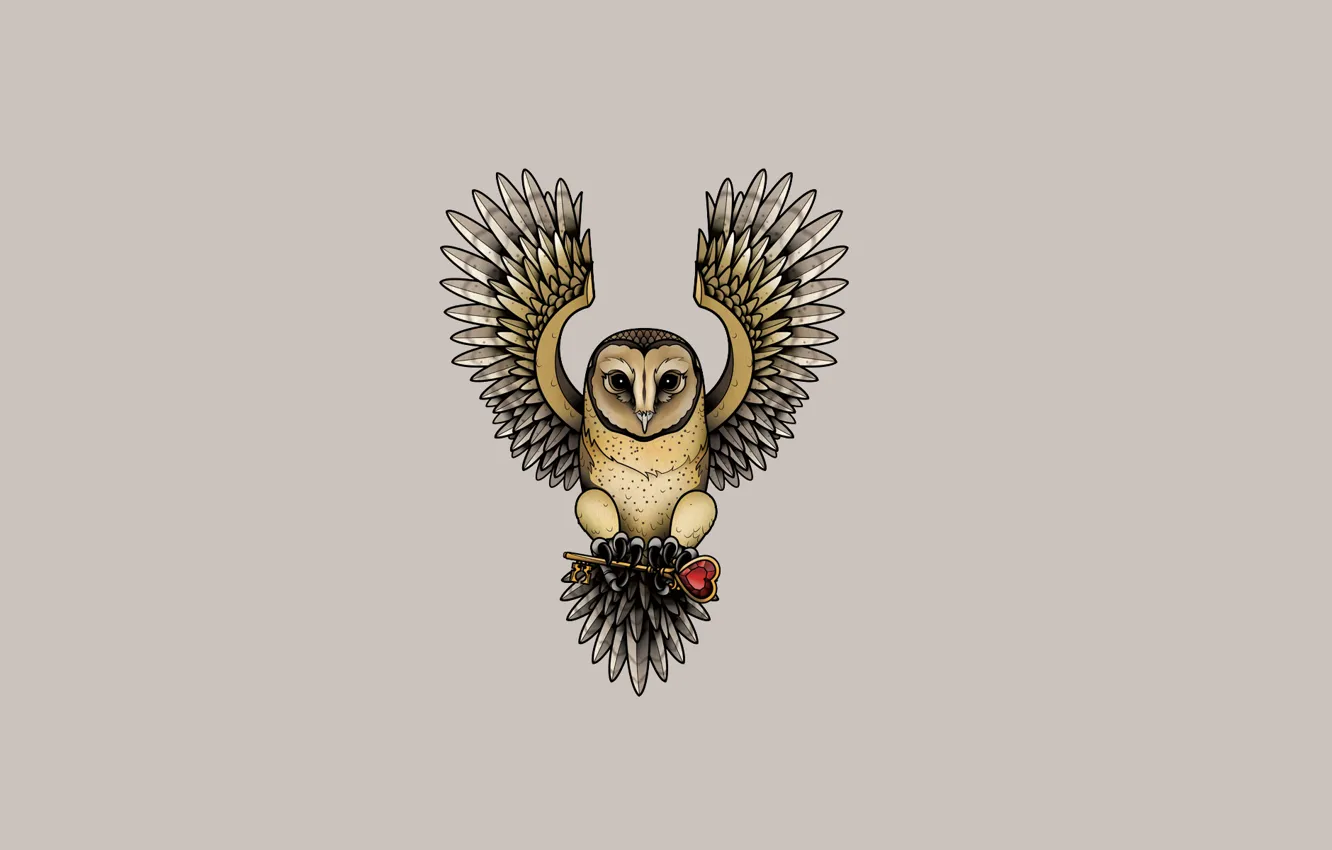Фото обои сова, птица, сердце, минимализм, ключ, owl