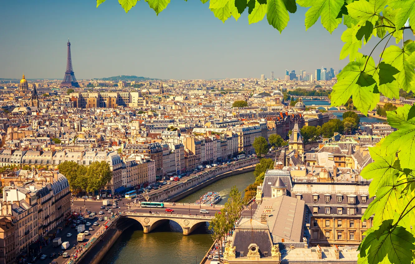 Фото обои листья, ветки, река, Франция, Париж, дома, Эйфелева башня, мосты