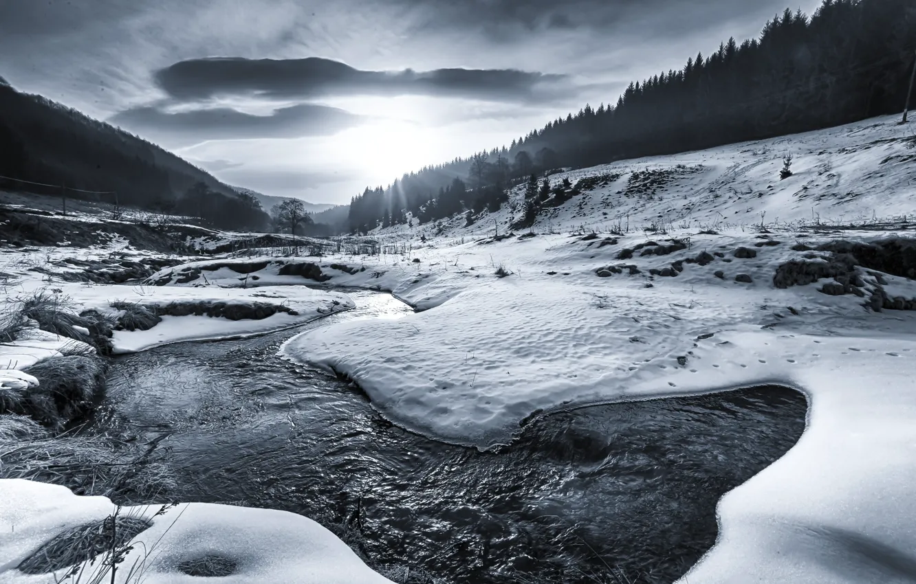 Фото обои лед, лес, вода, снег, река, Рассвет, черно-белое