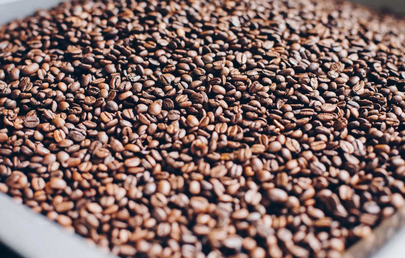 Фото обои Зерна, Кофе, Куча, Много, Кофейные зерна, Coffee, Крупный план, Grain