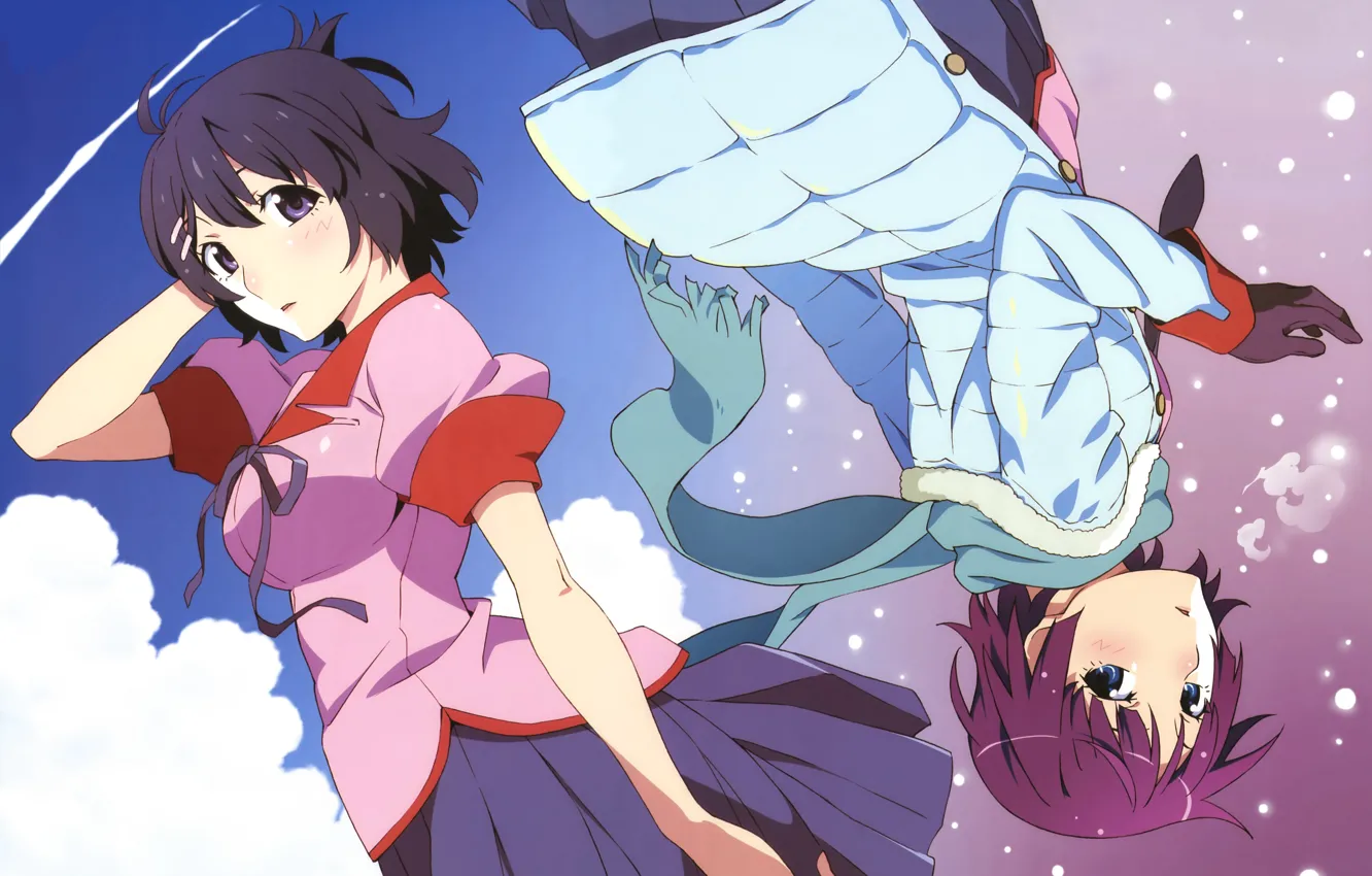 Фото обои девочка, двое, anime, art, monogatari, Monogatari Series