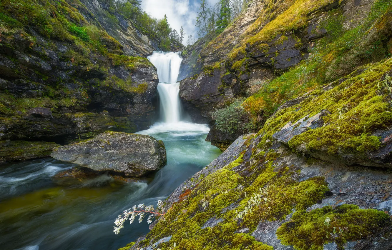 Фото обои камни, скалы, течение, водопад, мох, Норвегия, речка, Norway