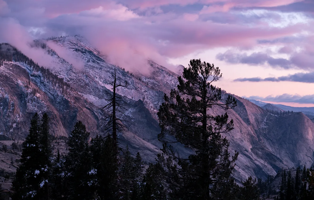 Фото обои зима, небо, облака, снег, деревья, закат, горы, природа