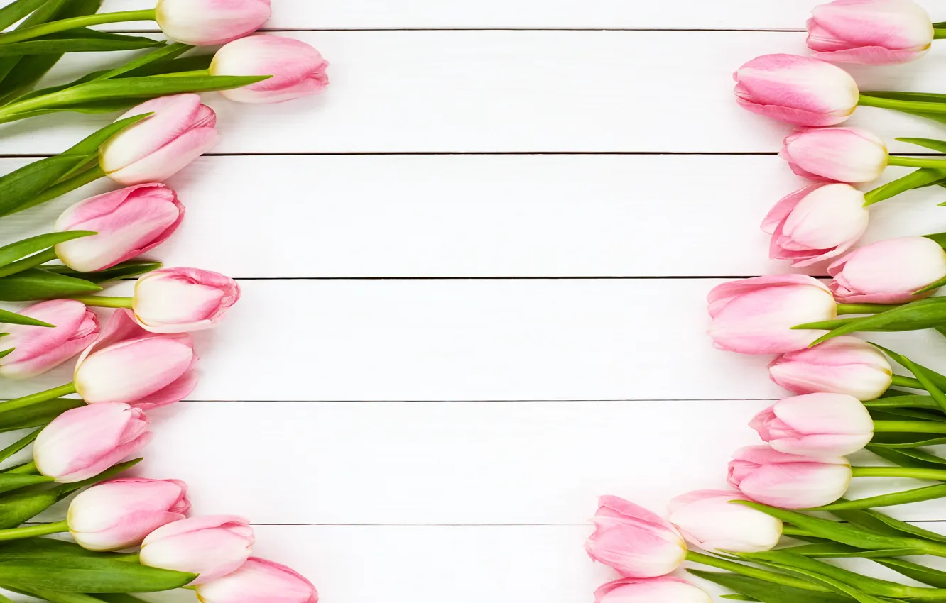 Фото обои тюльпаны, розовые, wood, pink, flowers, tulips