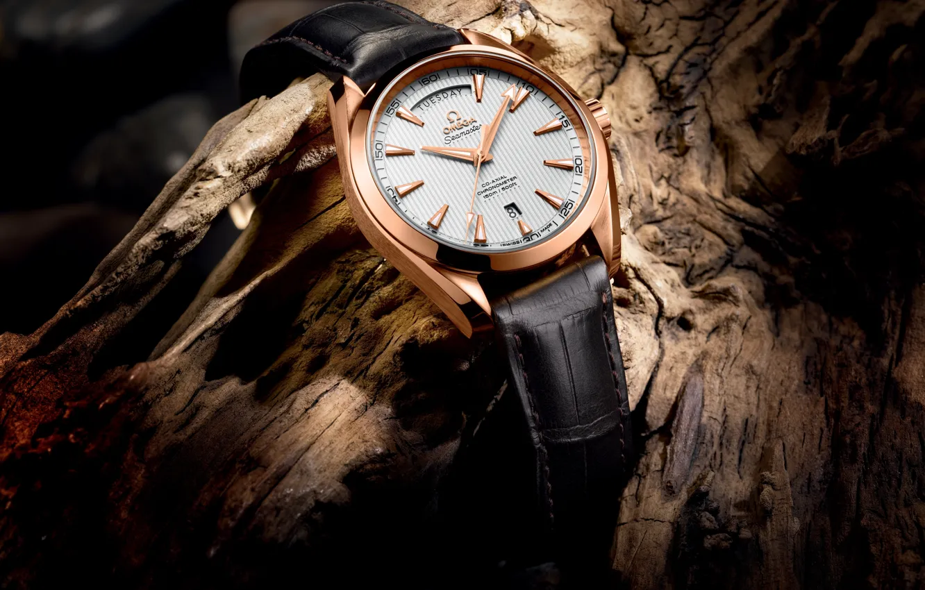 Фото обои часы, OMEGA, 2013 - The Seamaster Aqua Terra Day-Date, BASELWORLD