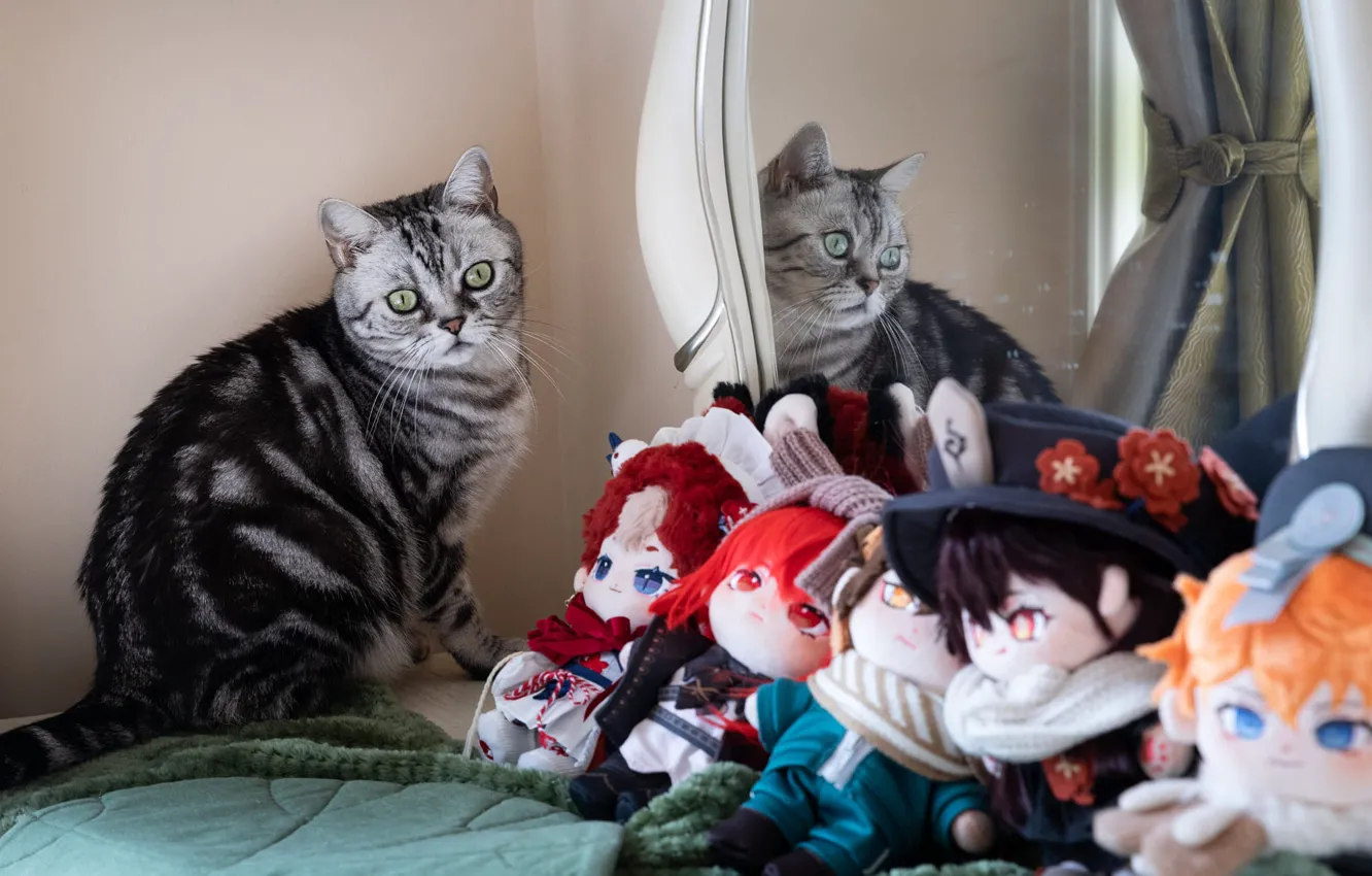 Фото обои кошка, кот, цветы, отражение, игрушки, куклы, букет, зеркало