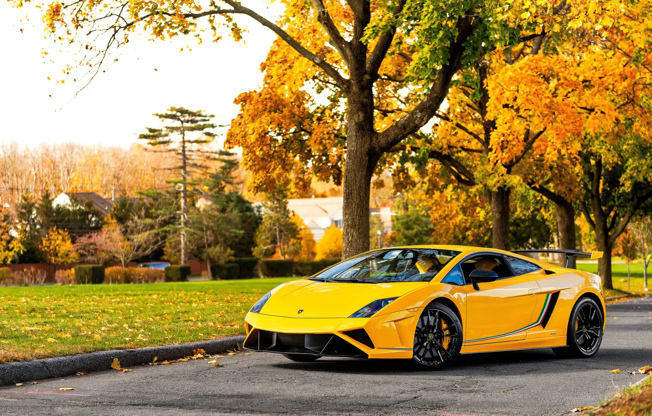 Фото обои осень, Lamborghini, суперкар, Gallardo, желтая, ламборгини, галлардо