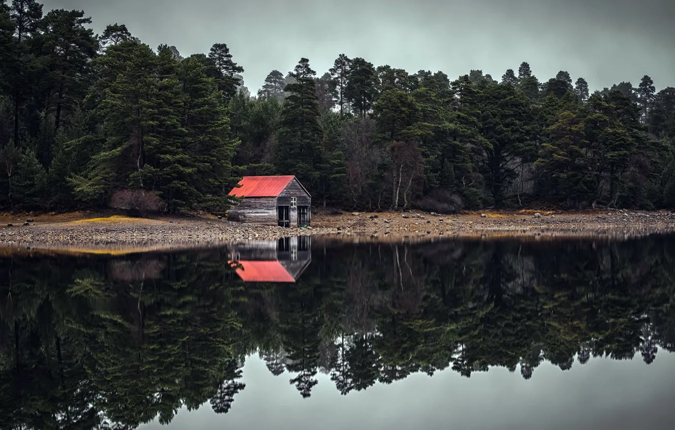 Фото обои лес, озеро, дома
