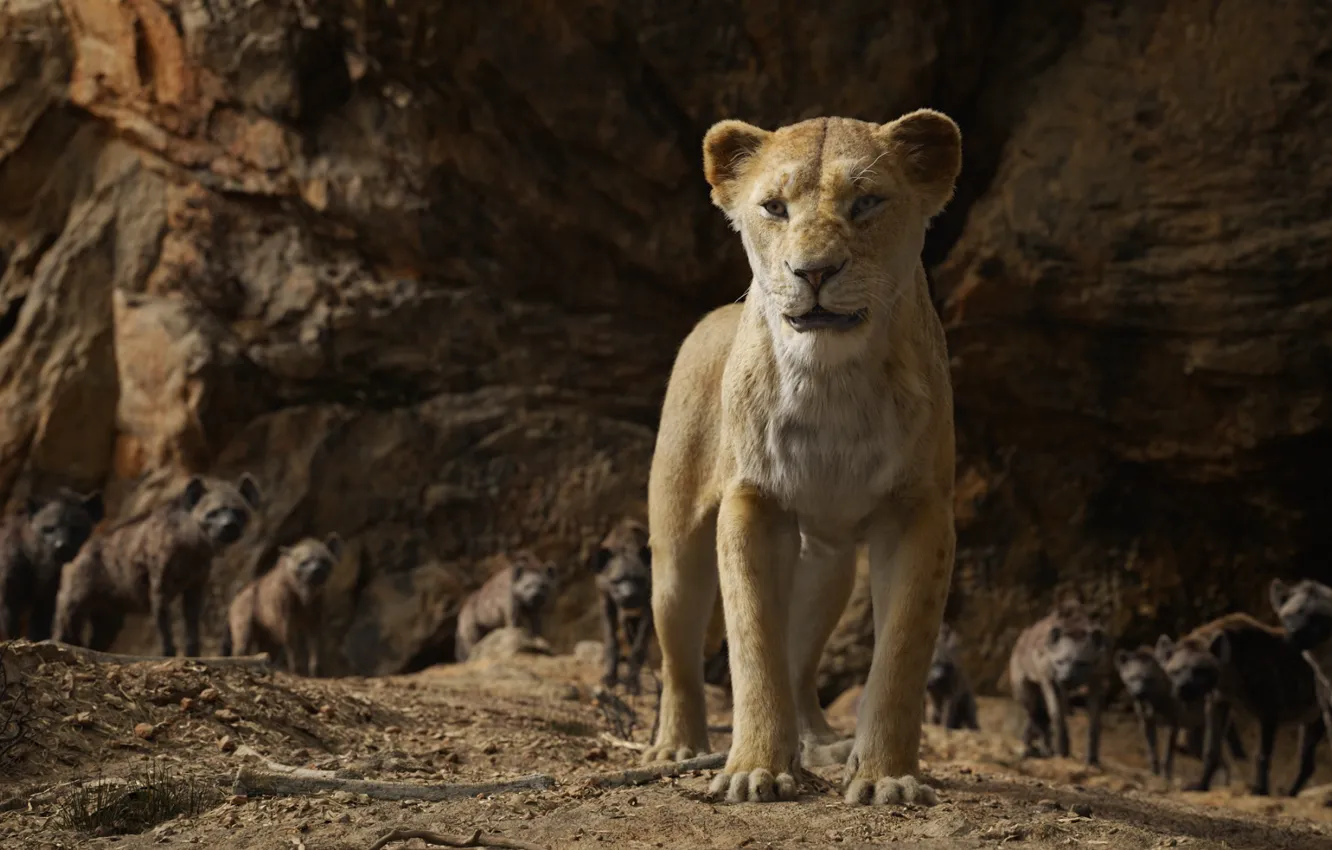 Фото обои львица, Король Лев, The Lion King, гиены, Нала