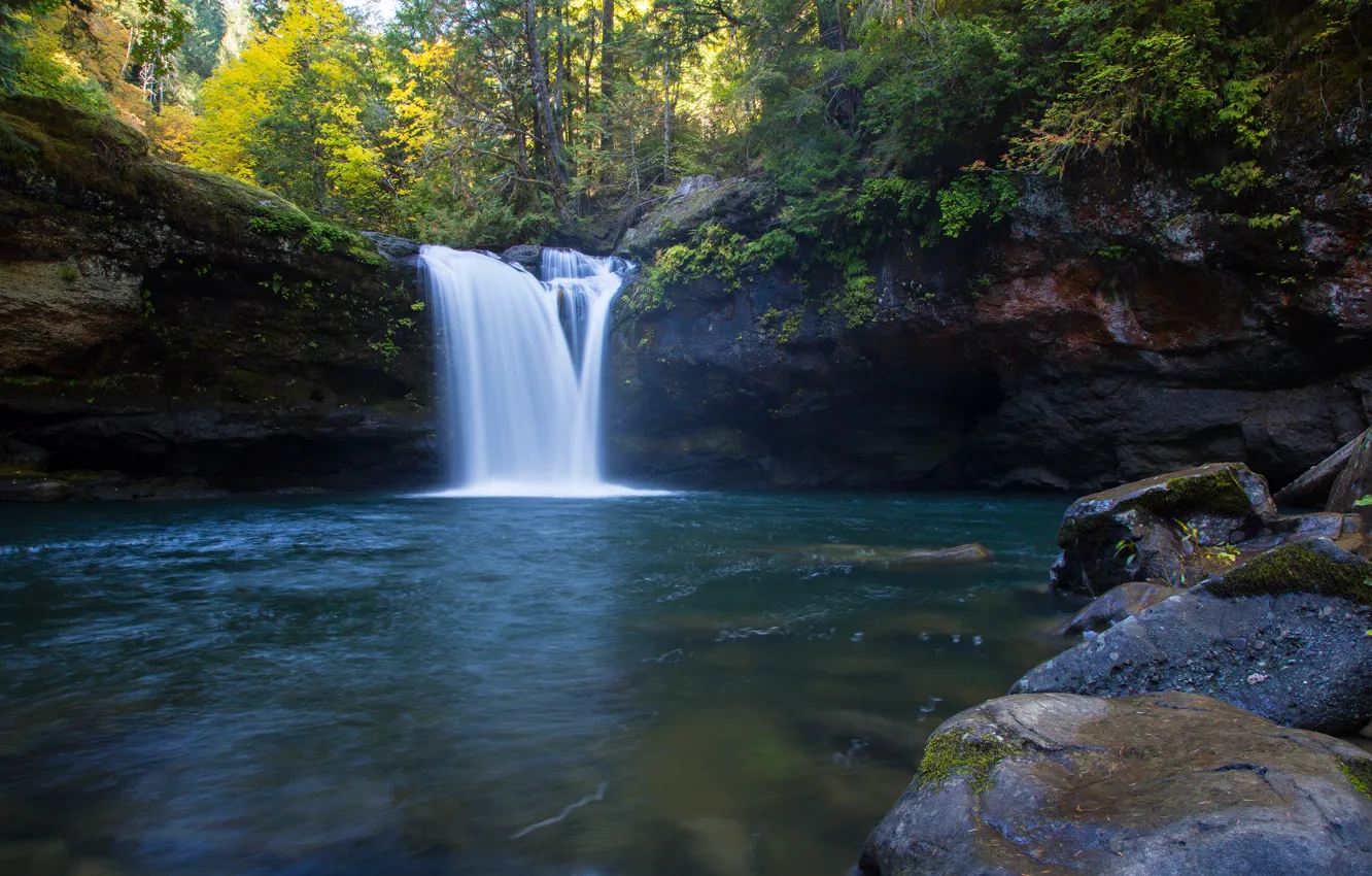 Фото обои лес, Oregon, водопад река, the South Fork Coquille River, Coos County