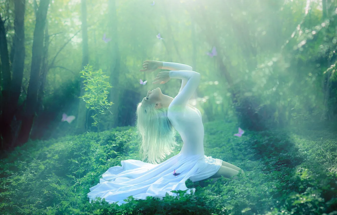 Фото обои лес, девушка, свет, настроение
