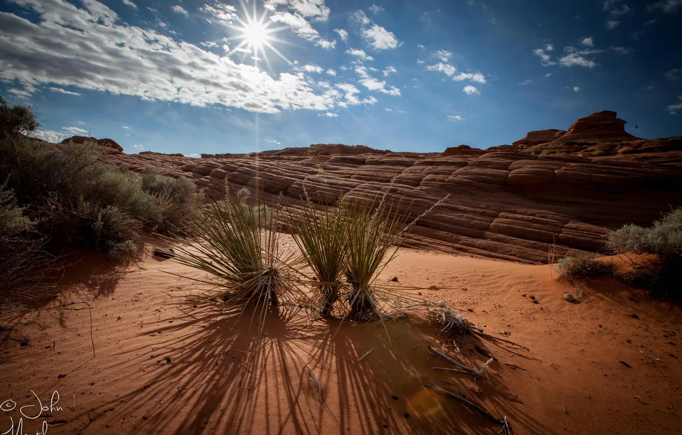Фото обои трава, скала, пустыня, каньон