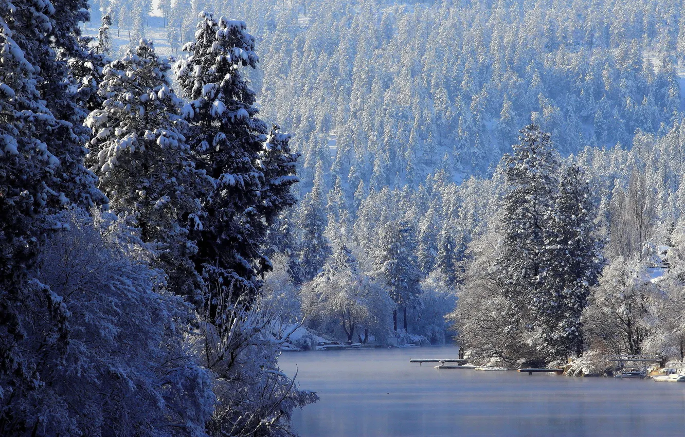 Фото обои зима, иней, лес, снег, деревья, река, лёд