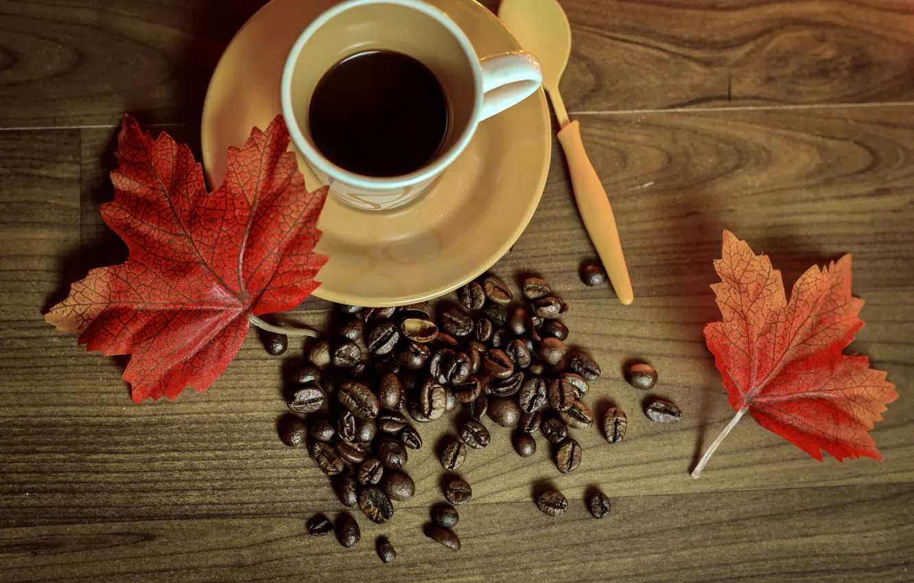Фото обои осень, кофе, чашка, книга, autumn, leaves, cup, beans