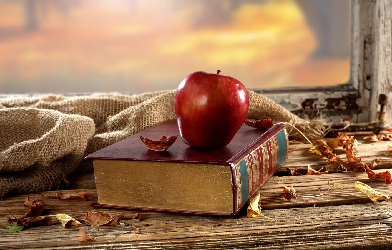 Фото обои осень, листья, стол, фон, яблоко, окно, сухие, книга