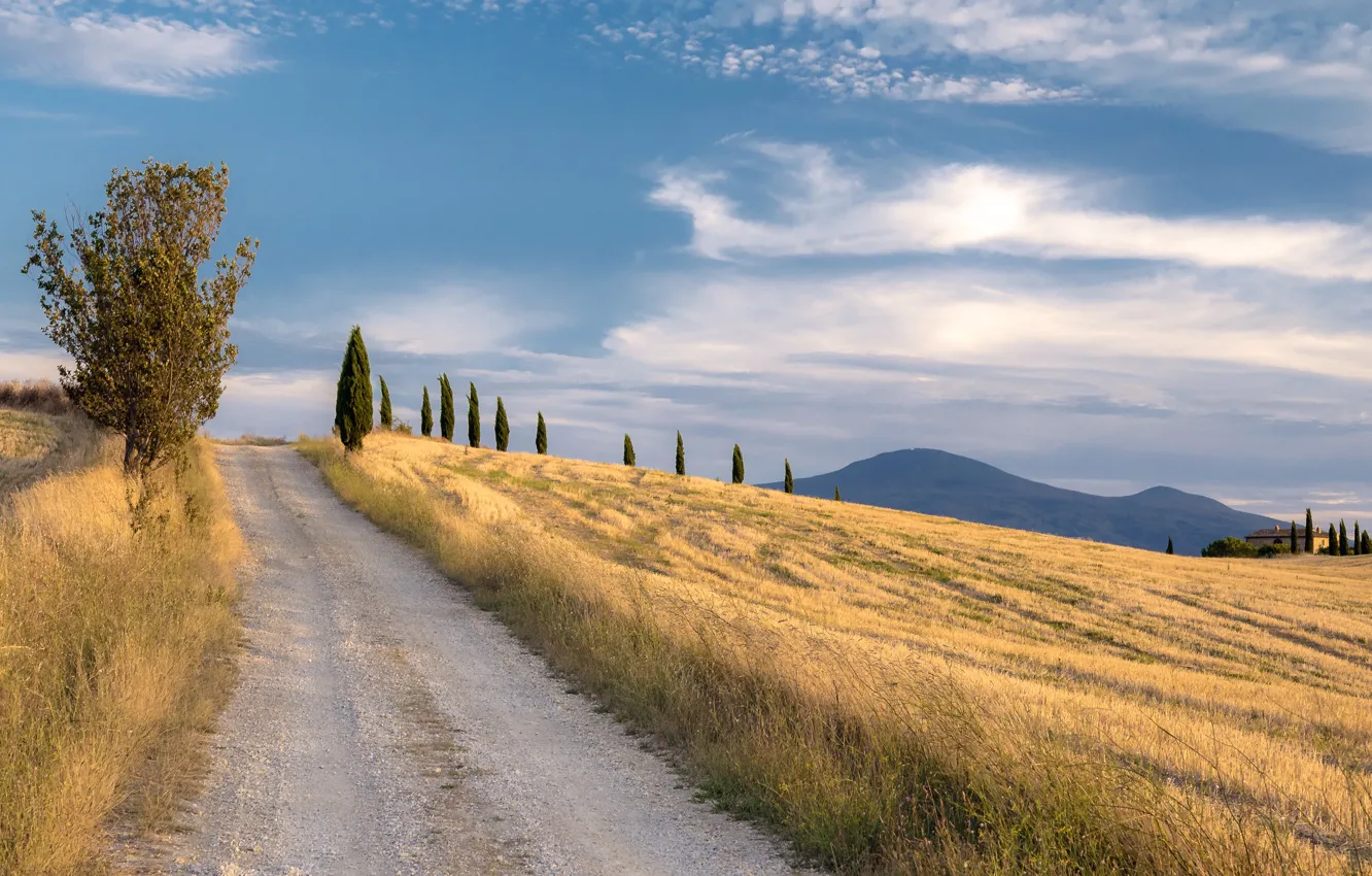 Фото обои дорога, поле, небо