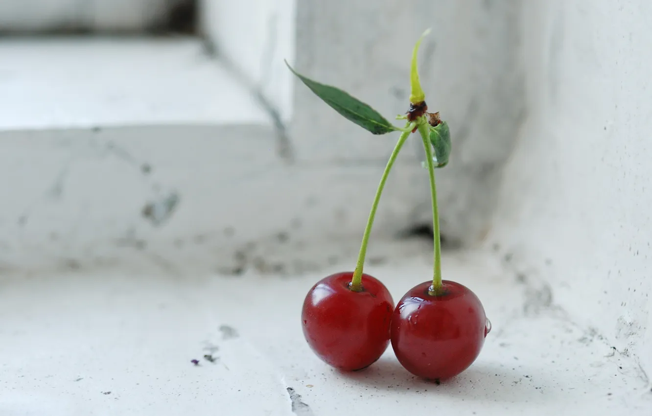 Фото обои berry, window, cherry