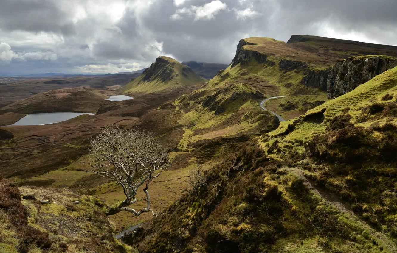Фото обои дорога, горы, тучи, озеро, дерево, Шотландия