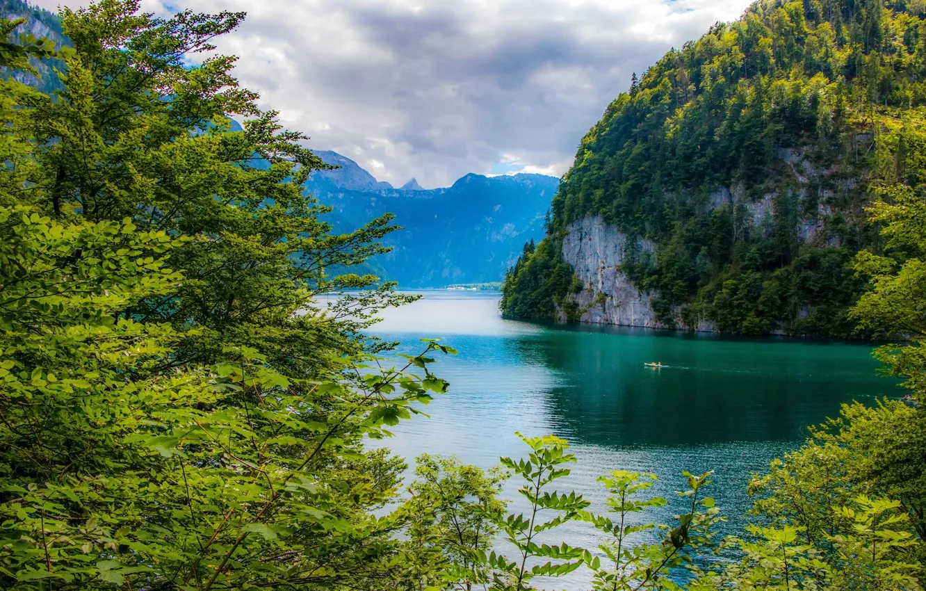 Фото обои деревья, горы, озеро, Германия, Бавария, Germany, Bavaria, Bavarian Alps