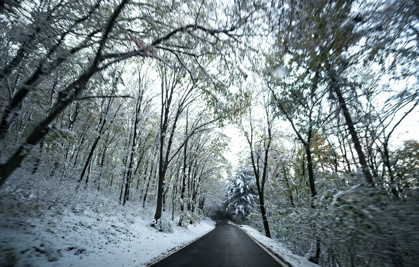 Фото обои Зима, Дорога, Снег, Лес, Winter, Snow, Road, Forest