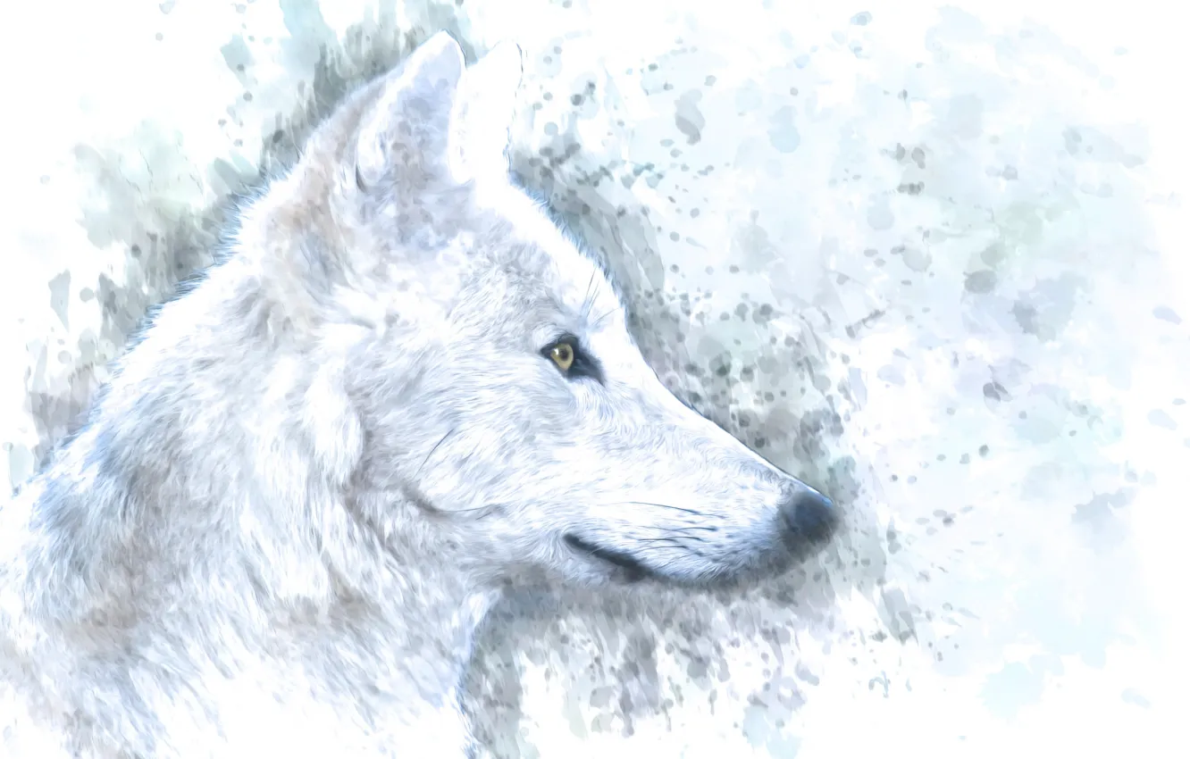 Фото обои белый, фон, волк, профиль