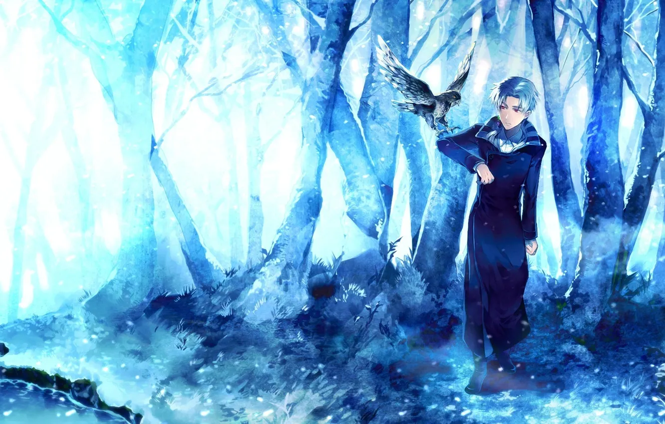 Фото обои лес, деревья, птица, арт, парень, Sunakumo