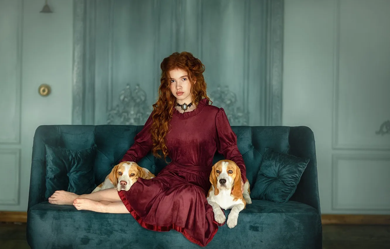 Фото обои girl, model, pretty, dogs, interior, sofa, interesting