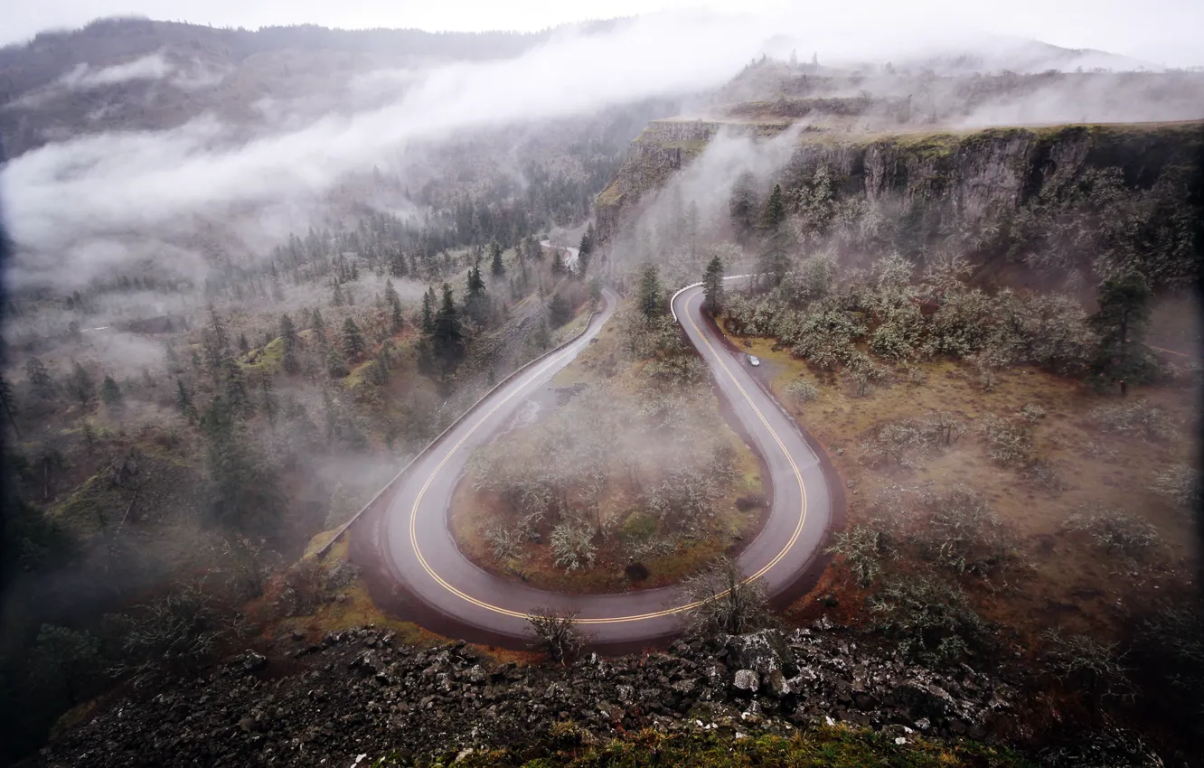 Фото обои дорога, лес, деревья, горы, природа, туман, Орегон