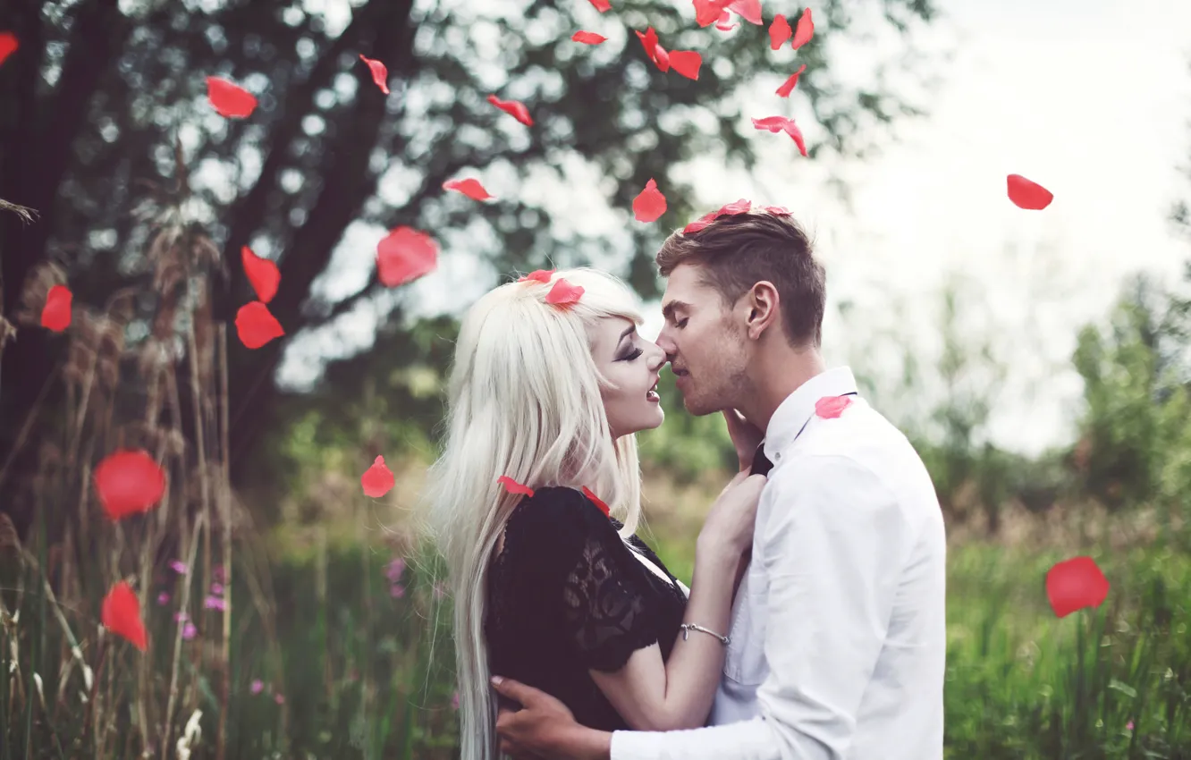 Фото обои поцелуй, невеста, лепестки роз, свадьба, жених