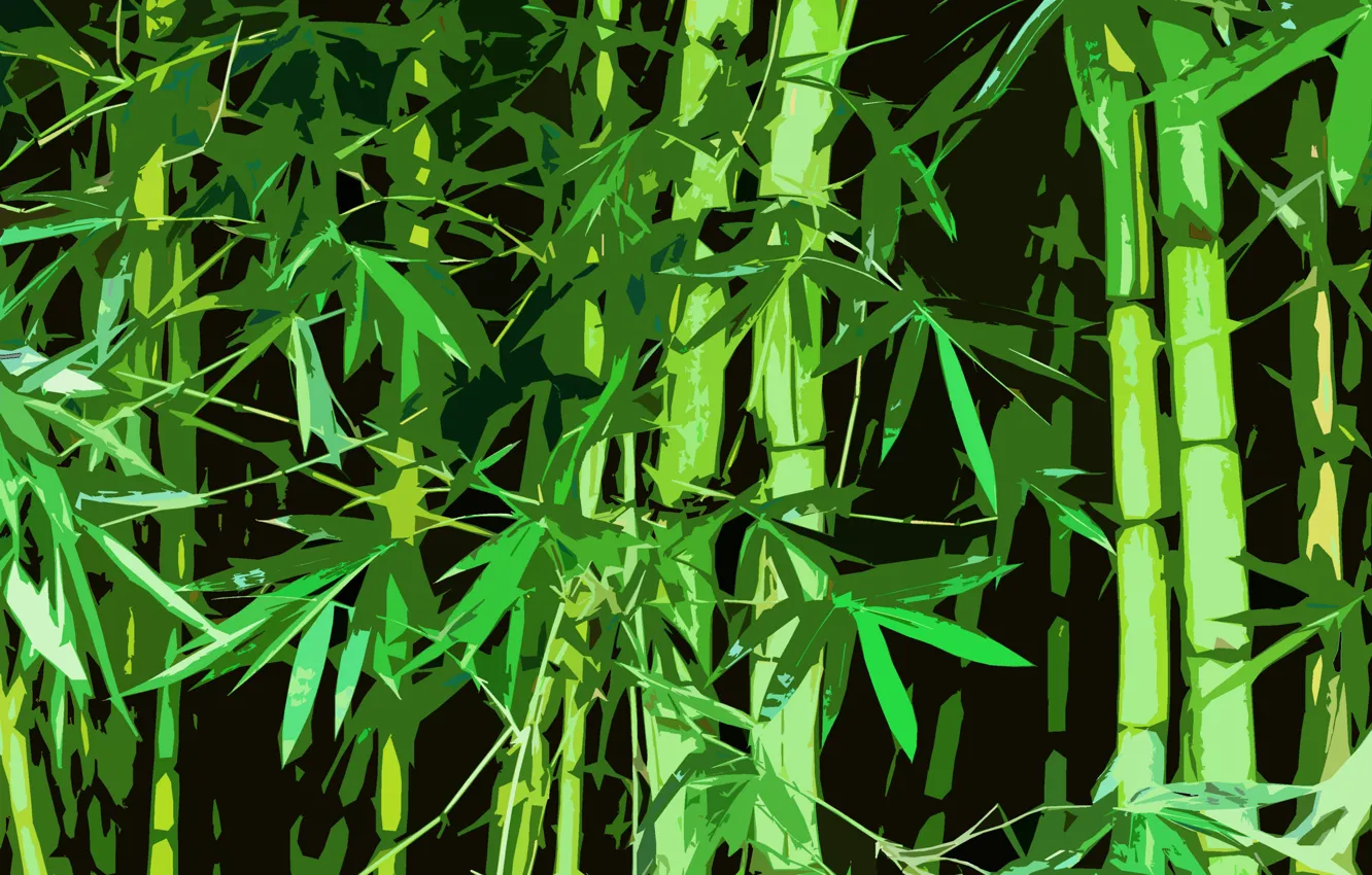 Фото обои лес, China, Бамбук, Китай, Bamboo
