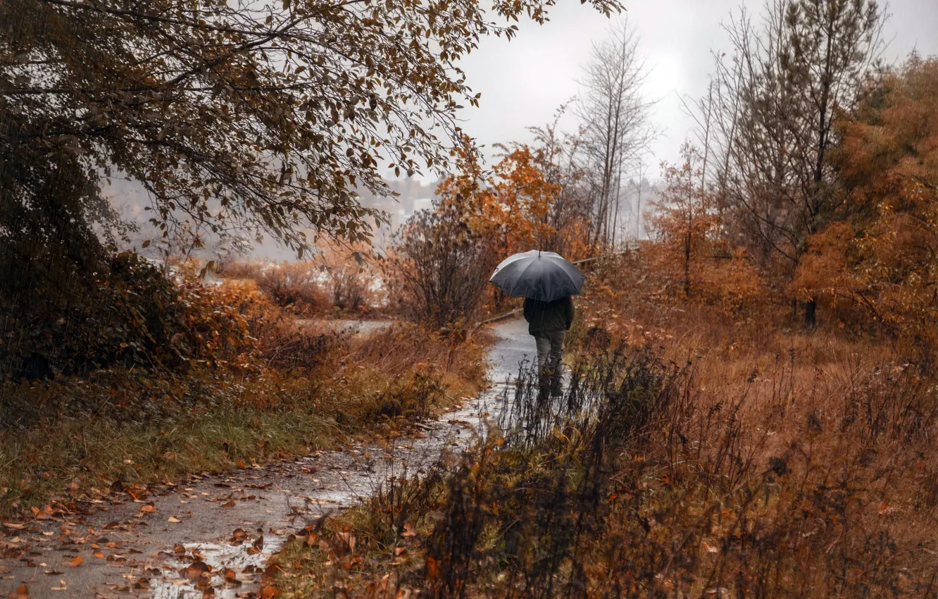 Фото обои осень, дождь, человек