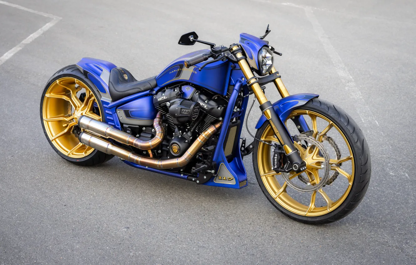 Фото обои Front, Harley-Davidson, Tuning, Softail, Breakout, Customized, Thunderbike, Custombikes