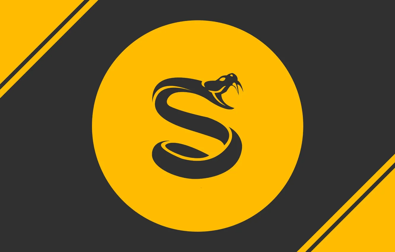 Фото обои logo, snake, yellow, splyce csgo