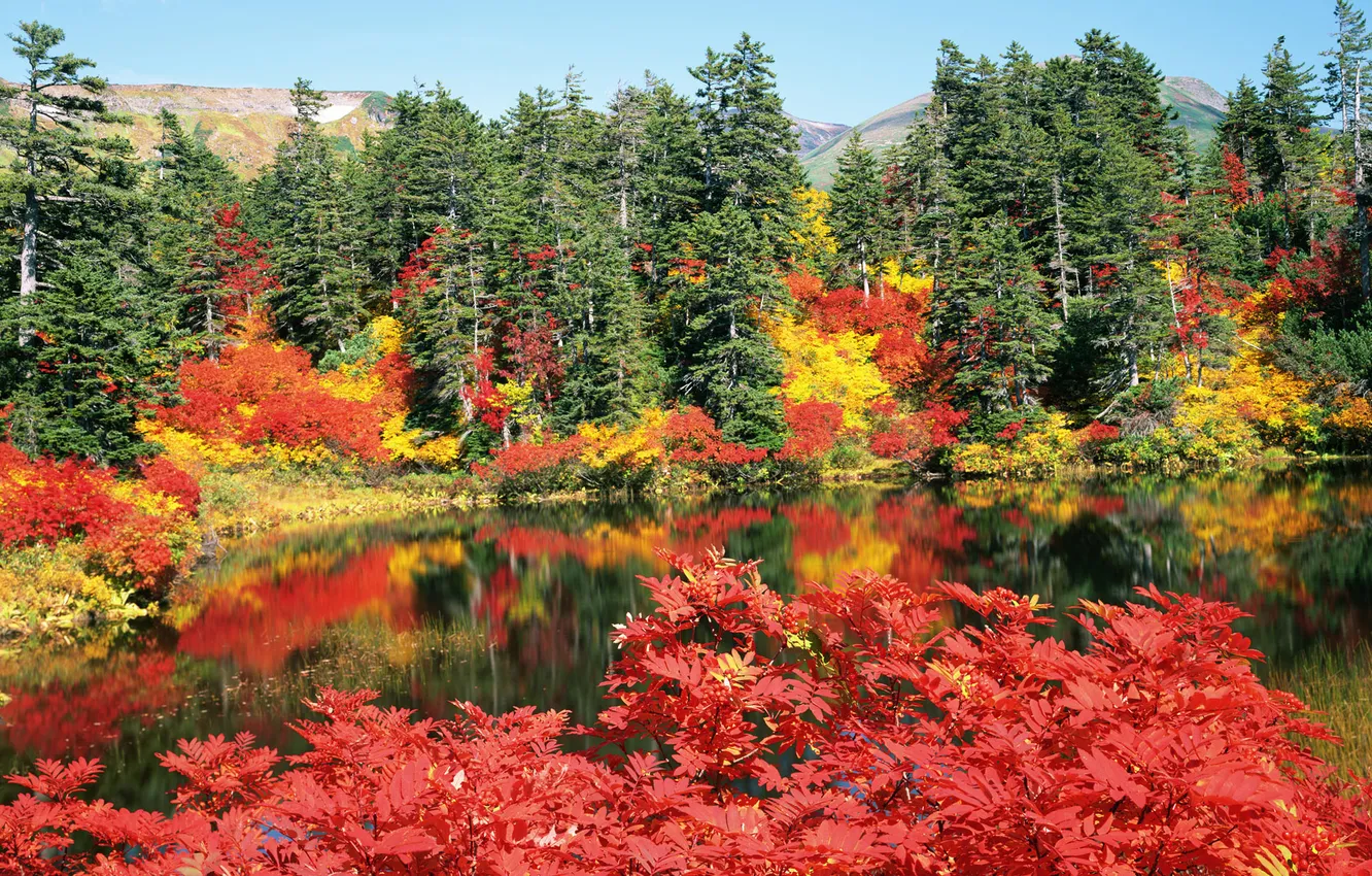 Фото обои листья, деревья, горы, яркий, озеро, Осень, день