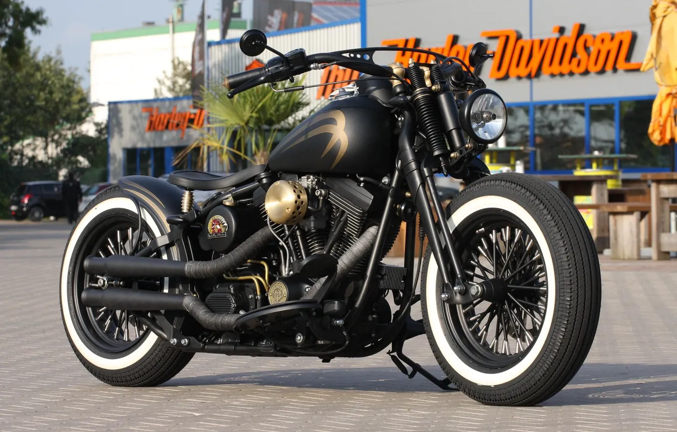 Фото обои Bike, Harley-Davidson, Custom, Thunderbike