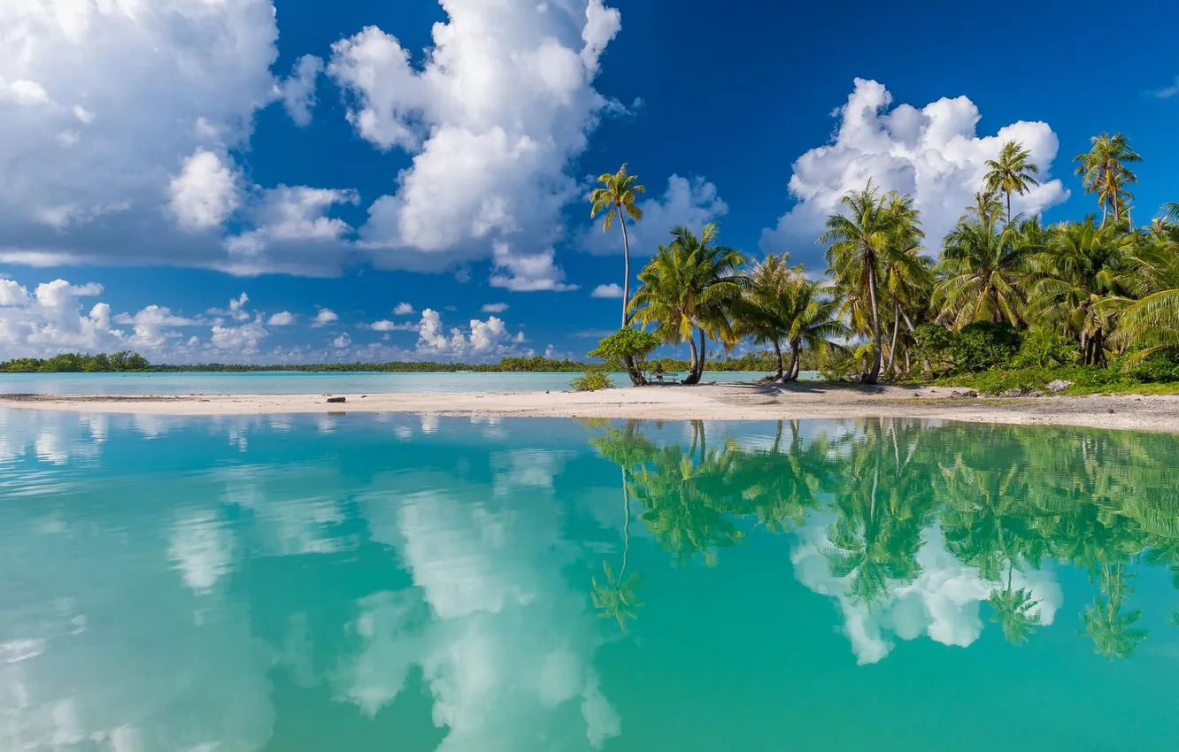 french-polynesia-tuamotu-more-bereg-palm