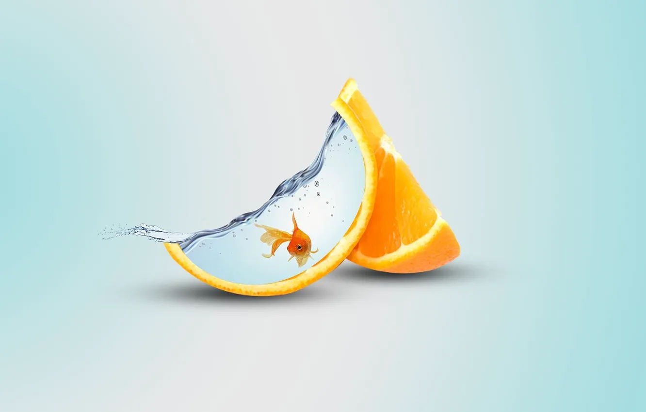 Фото обои water, orange, artist, fish
