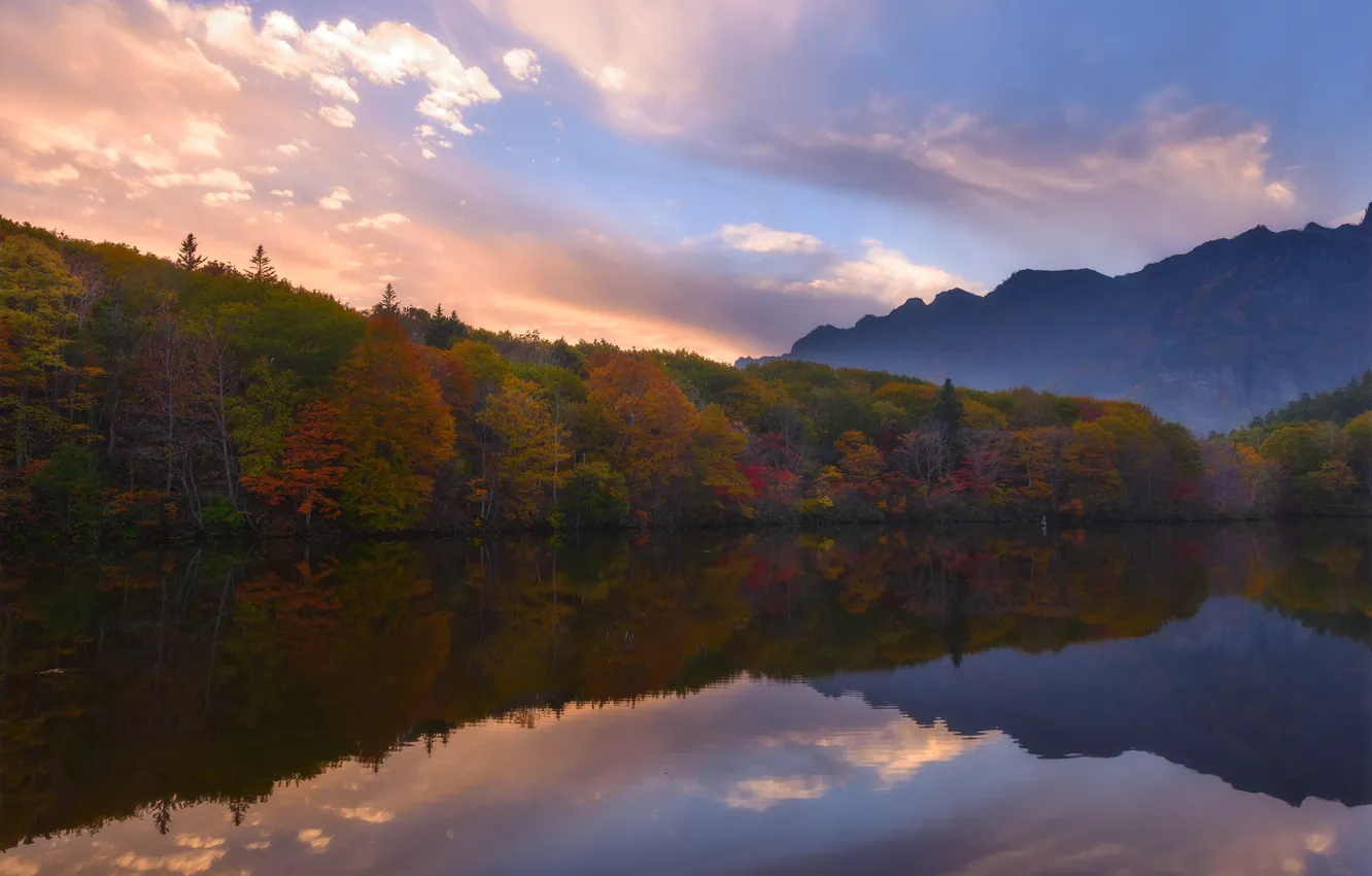 Фото обои осень, лес, облака, деревья, пейзаж, горы, туман, озеро