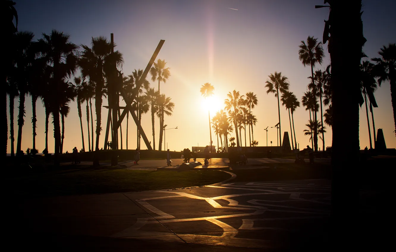 Фото обои summer, california, sunset, los angeles, palm, venice beach