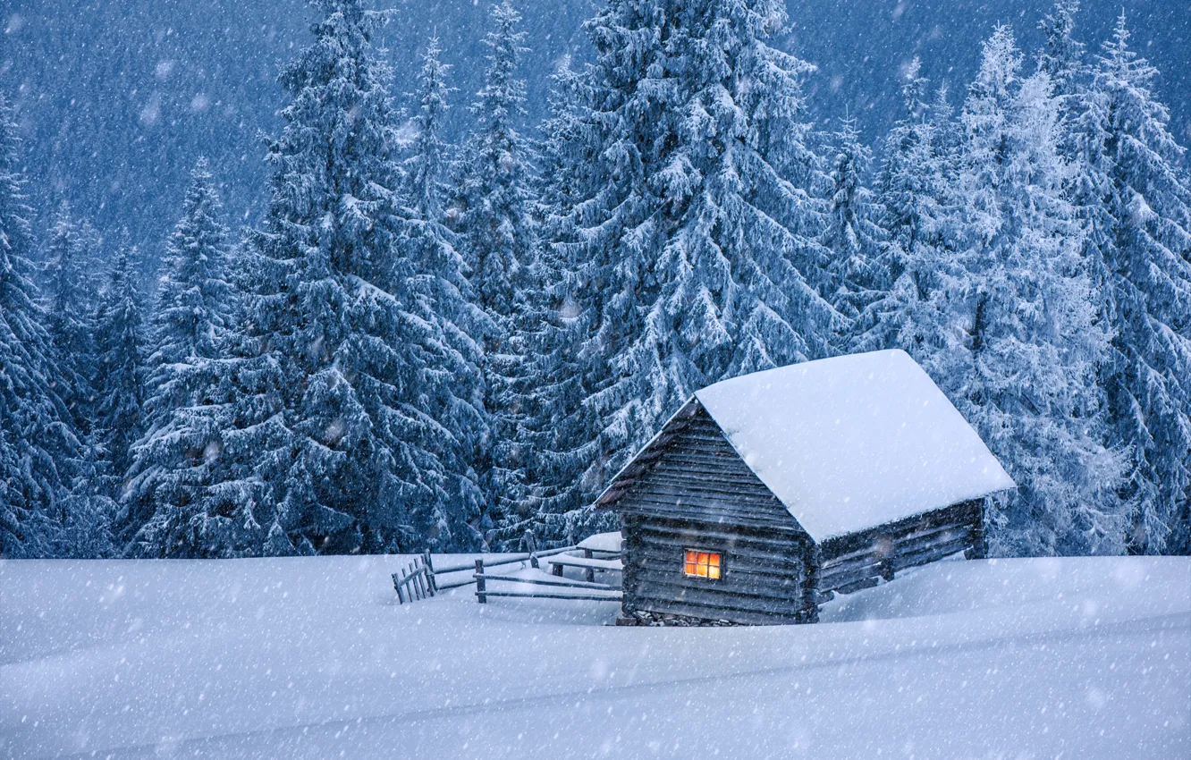 Фото обои зима, снег, елки, домик, хижина, landscape, winter, snow
