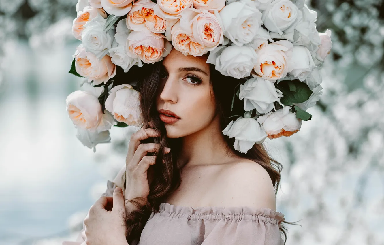 Фото обои взгляд, девушка, цветы, лицо, розы, красотка