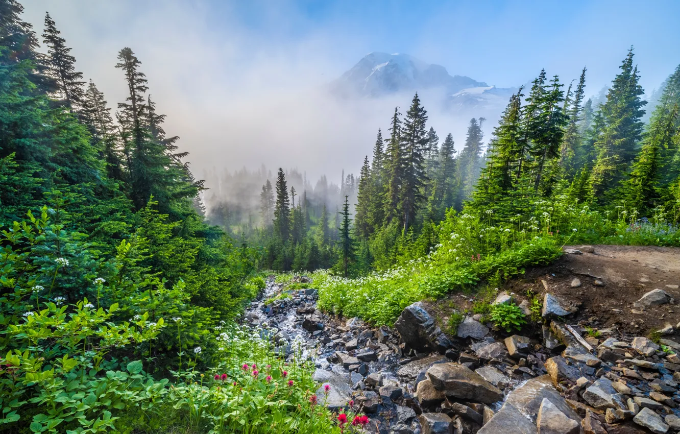 Фото обои горы, ручей, камни, США, Mount Rainier National Park