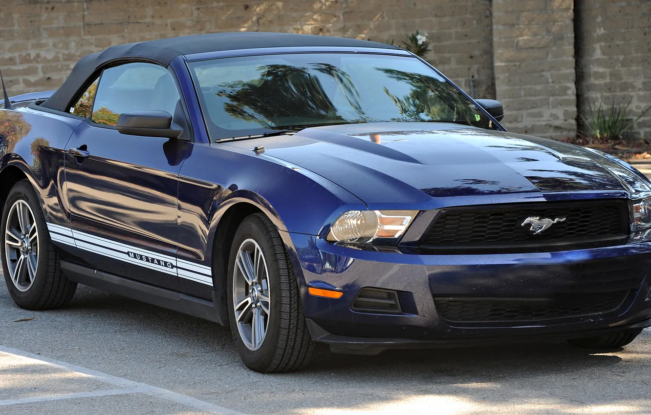 Фото обои асфальт, синий, отражение, Ford, mustang