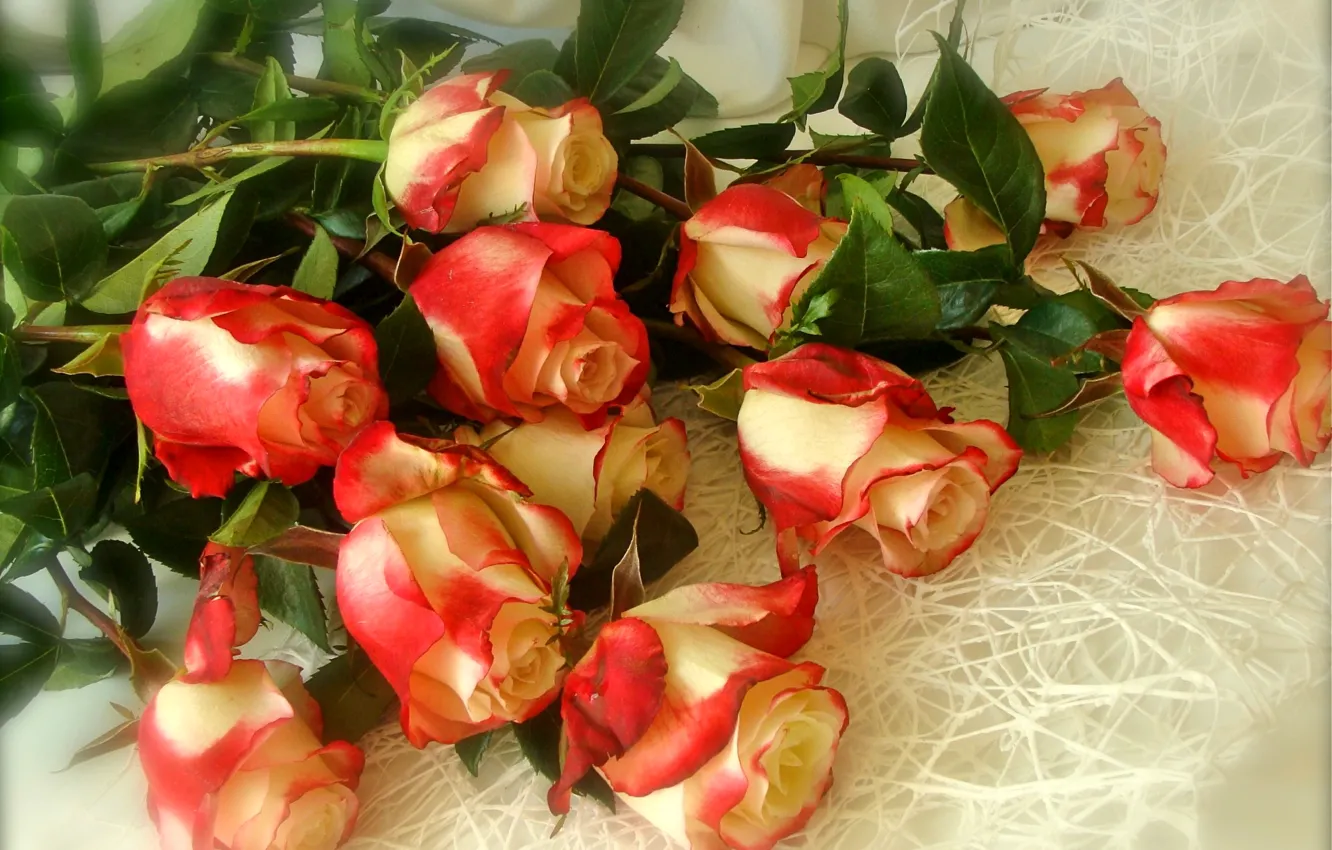 Фото обои розы, букет, лепестки, бутон