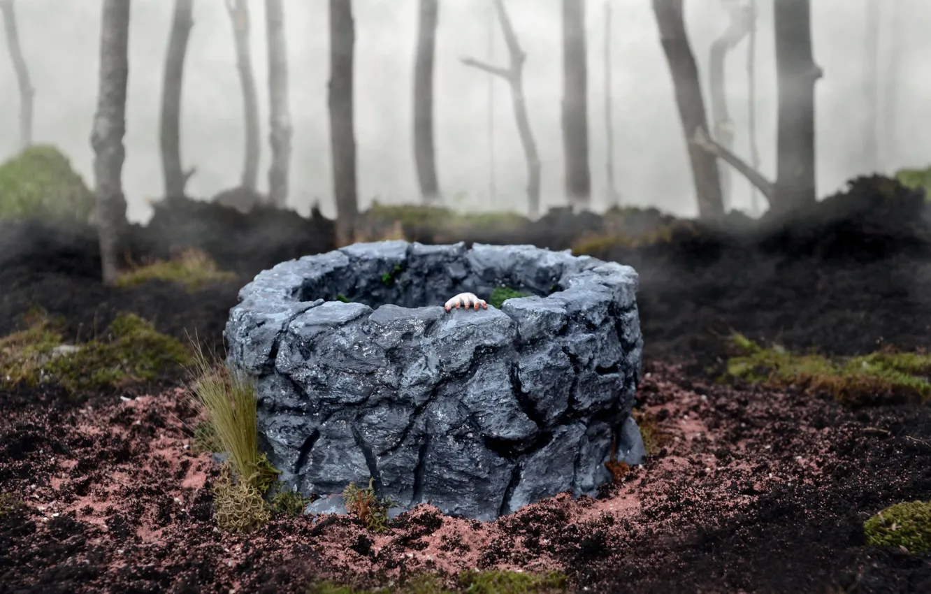 Фото обои лес, туман, игрушки, рука, колодец, The Ring, Sadako Yamamura