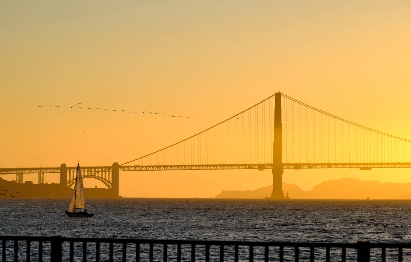 Фото обои мост, лодка, парус, Сан-Франциско, Золотые Ворота, США