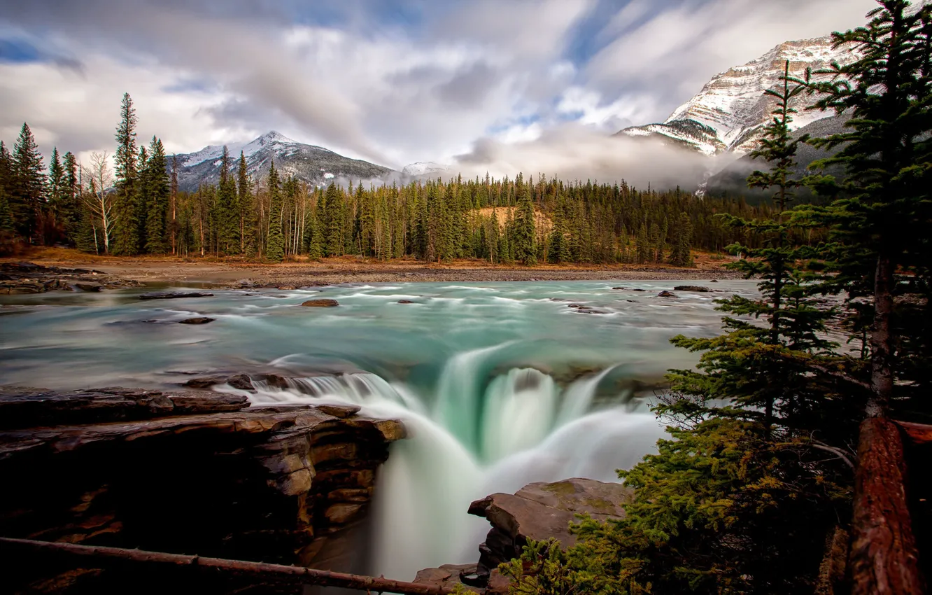 Фото обои лес, деревья, горы, река, водопад, ели, Канада, Альберта