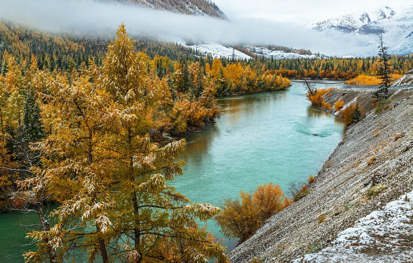 Фото обои осень, река, Алтай, Чуя