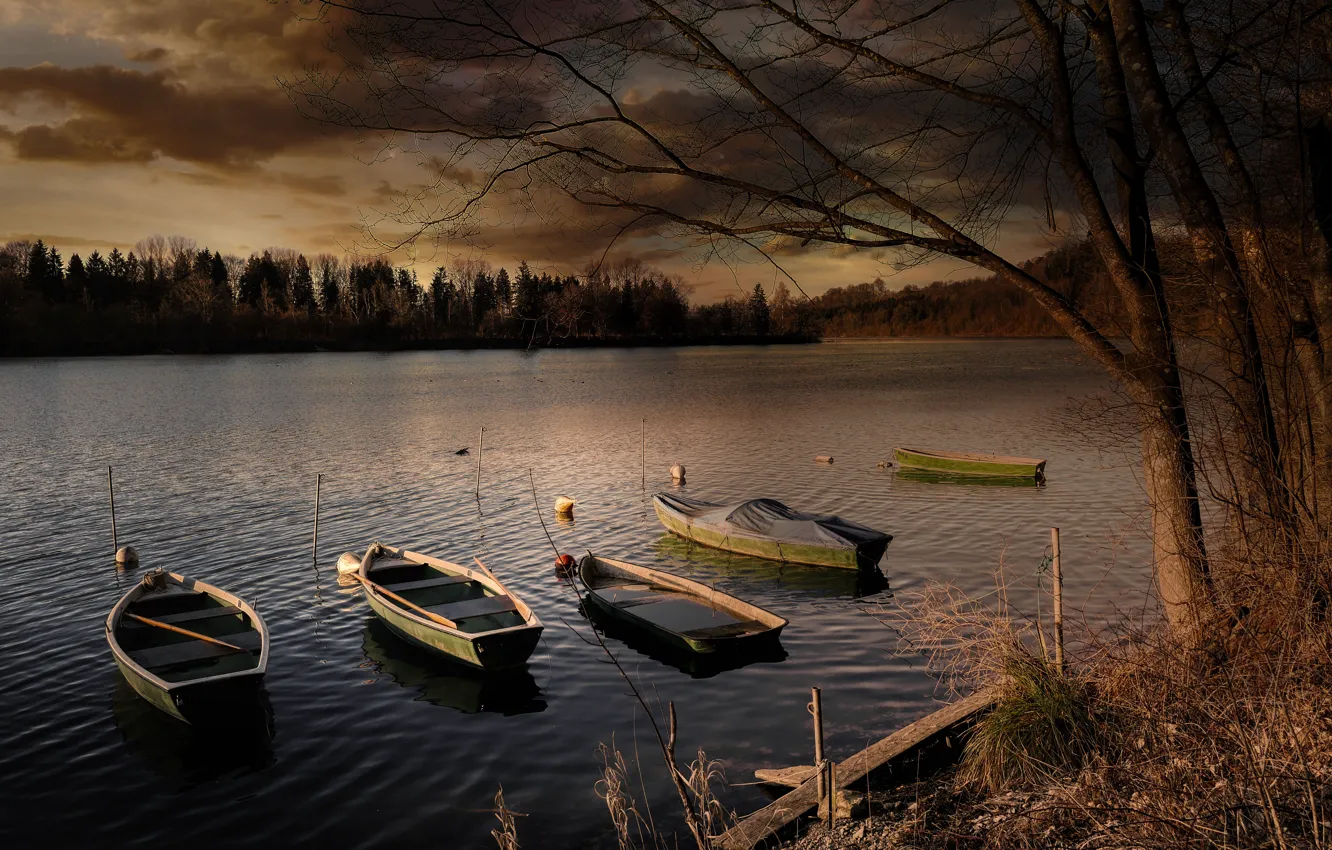 Фото обои осень, лес, деревья, тучи, озеро, река, берег, лодки